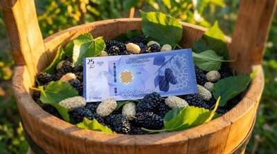 叙利亚新钞来啦！