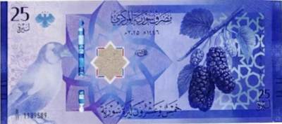叙利亚2025新钞发行～