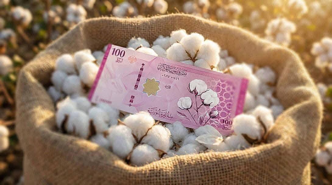 叙利亚新钞来啦！