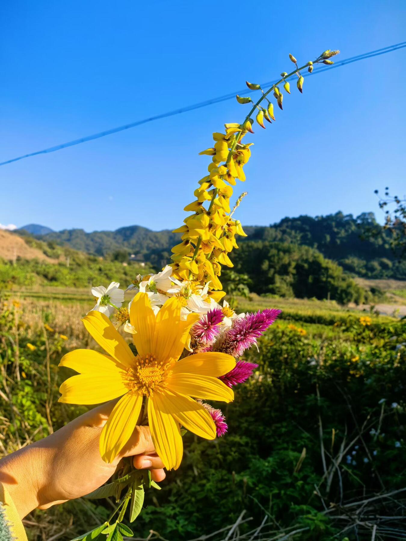 祝大家元旦快乐