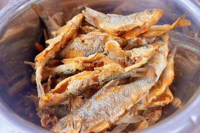 祝大家元旦快乐