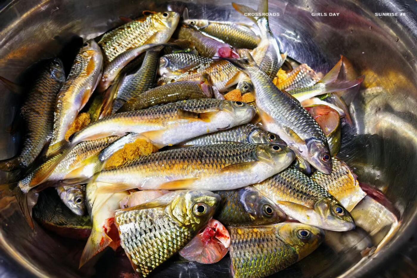 祝大家元旦快乐