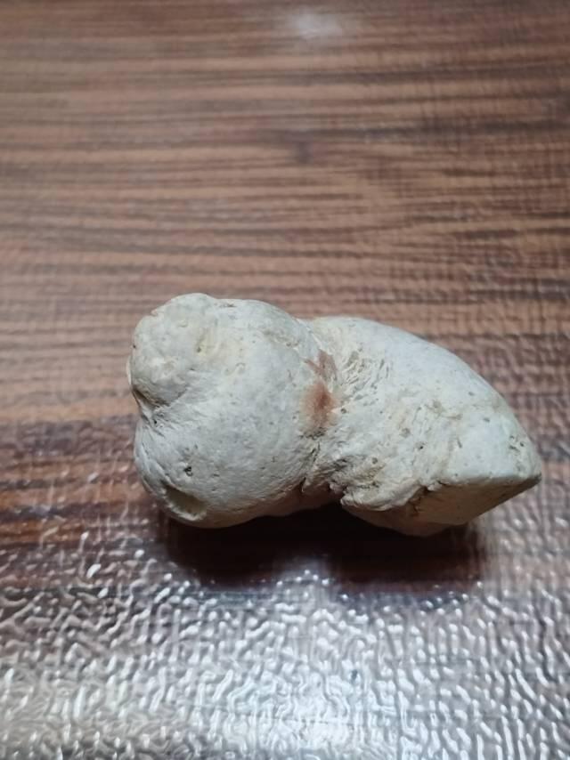 十几年前在三亚西岛养病，顺便四处转了转，在礁石滩发现的海螺化石。