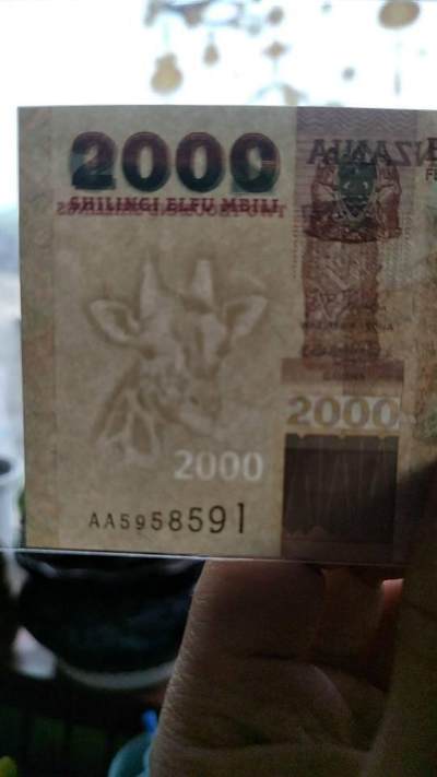 2003年坦桑尼亚动物套最喜欢的大象和犀牛，实钞是比图片观赏效果更好的。个人挺喜欢的现在剩一张水牛就