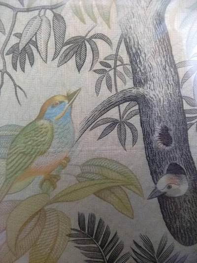 自己集的一套锡兰花鸟，花三年时间差张10就全套了。等齐了后在慢慢补充各面值图片