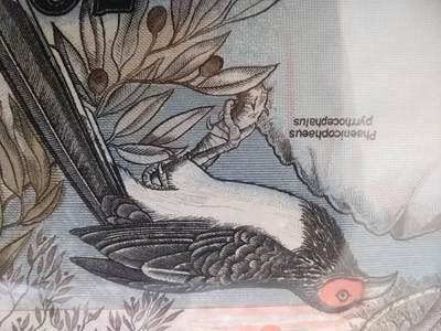 自己集的一套锡兰花鸟，花三年时间差张10就全套了。等齐了后在慢慢补充各面值图片