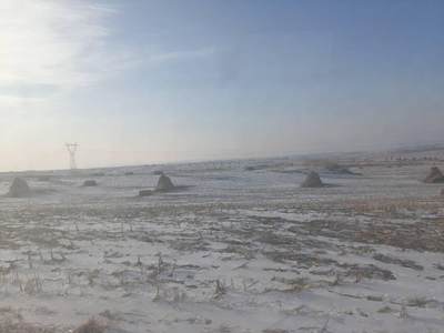 坐像为“都市女主人（Mistress of the Metropolis）”，背景是圣保罗大教堂，刻