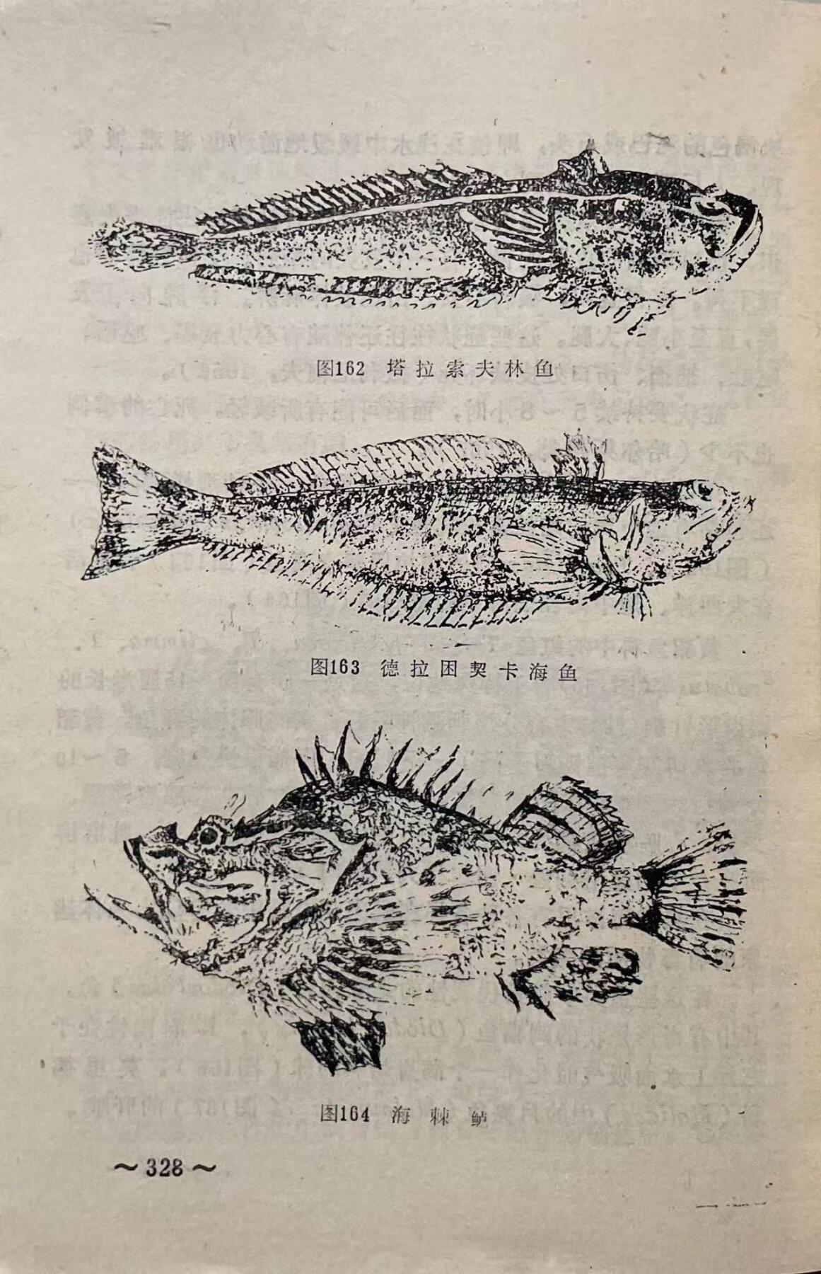 飞行人员跳伞与迫降后的救生