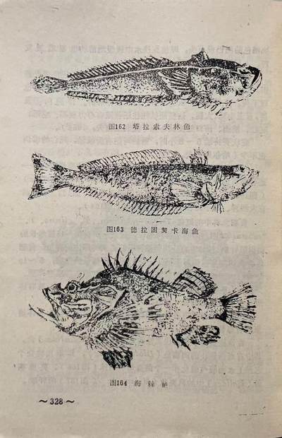 飞行人员跳伞与迫降后的救生