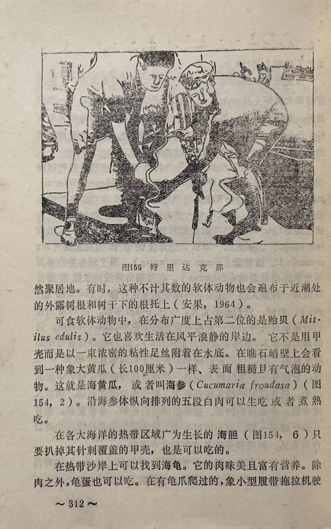 飞行人员跳伞与迫降后的救生