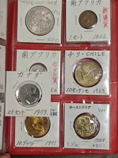 那我可以陪陪我