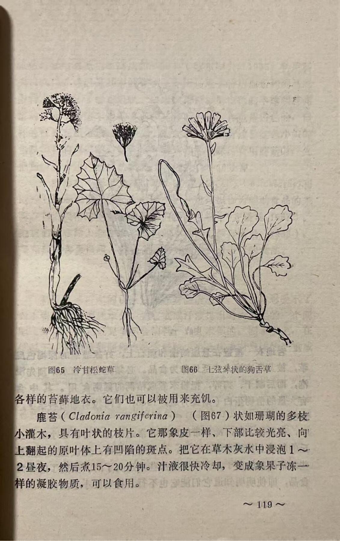 飞行人员跳伞与迫降后的救生