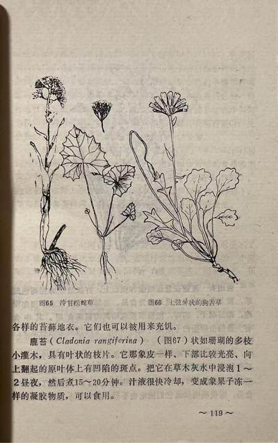 飞行人员跳伞与迫降后的救生