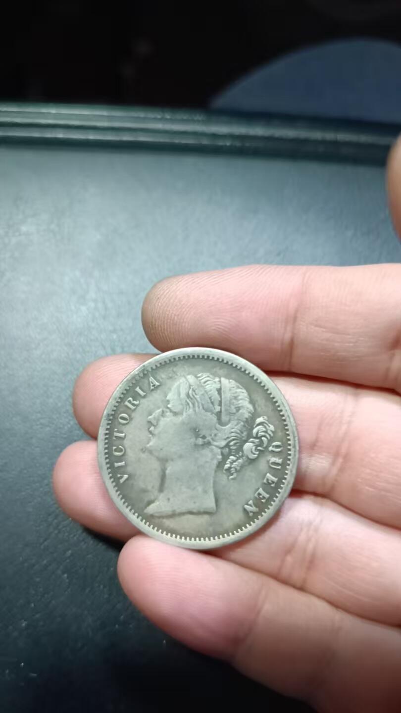 多种银币- 无芸大狸- 麦稀奇