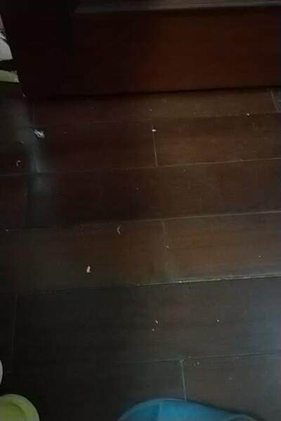 况且狂气7修改发布