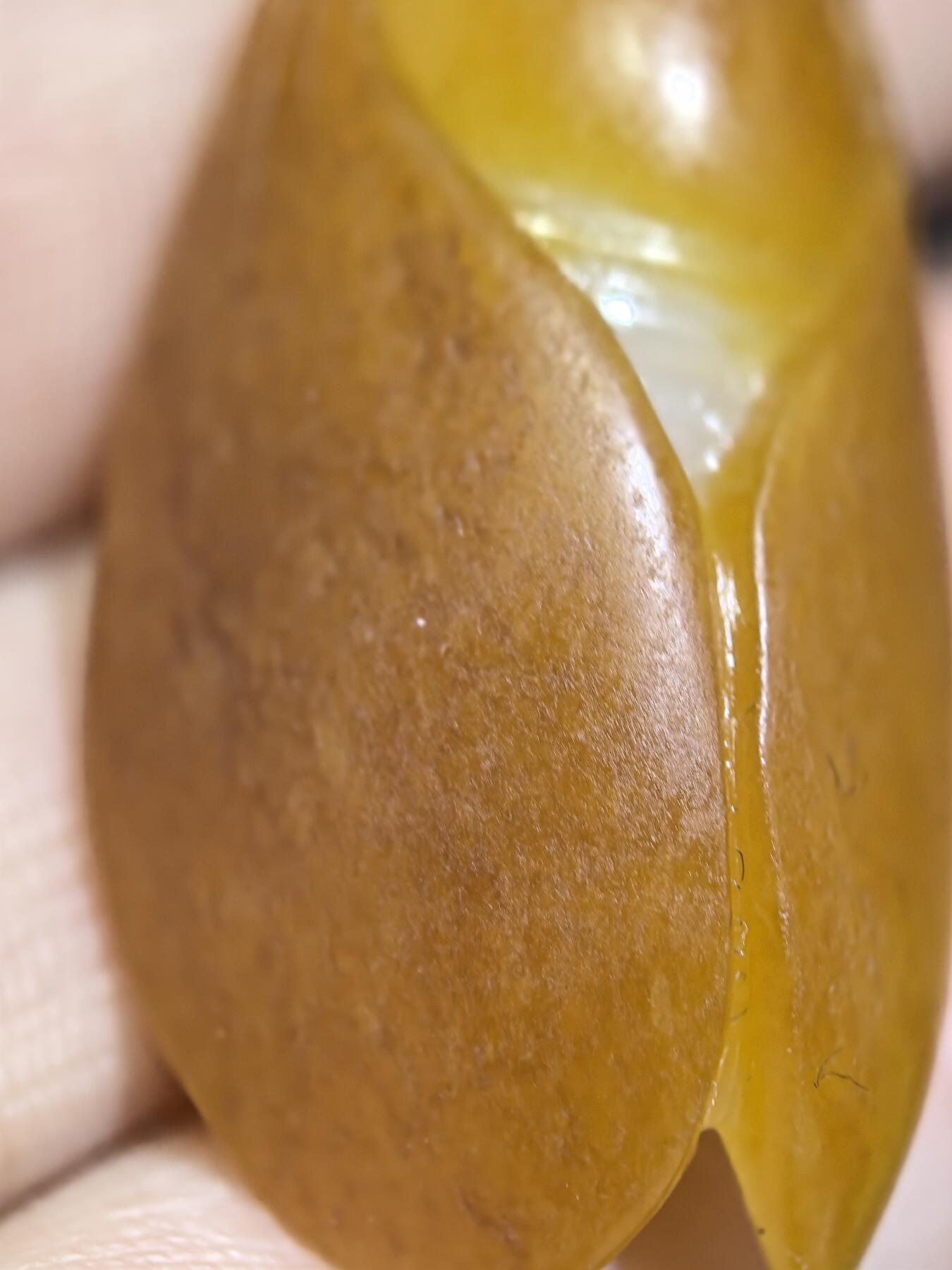 新疆和田籽料满金皮，一级白肉，一鸣惊人吊坠挂件男女款，立体俏色巧雕，惟妙惟俏，品相佳，肉眼无结构，原皮原色。4.2cm＊2.2cm＊1.4cm.  16.8g