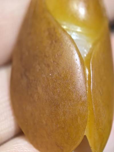 新疆和田籽料满金皮，一级白肉，一鸣惊人吊坠挂件男女款，立体俏色巧雕，惟妙惟俏，品相佳，肉眼无结构，原皮原色。4.2cm＊2.2cm＊1.4cm.  16.8g