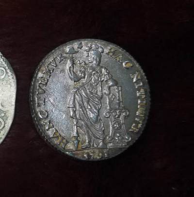 带光的荷兰立人。