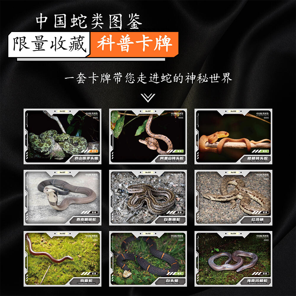 【海峡书局x博识逸趣】中国蛇类🐍主题收藏科普卡牌重磅上线！