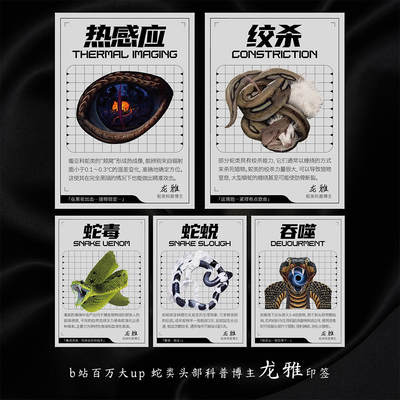 【海峡书局x博识逸趣】中国蛇类🐍主题收藏科普卡牌重磅上线！