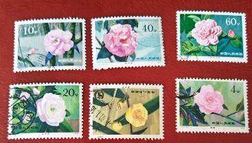 新中国邮票之山茶花