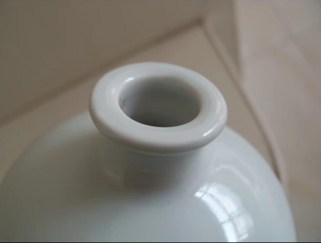 精美浮雕兰花景德镇瓷瓶！