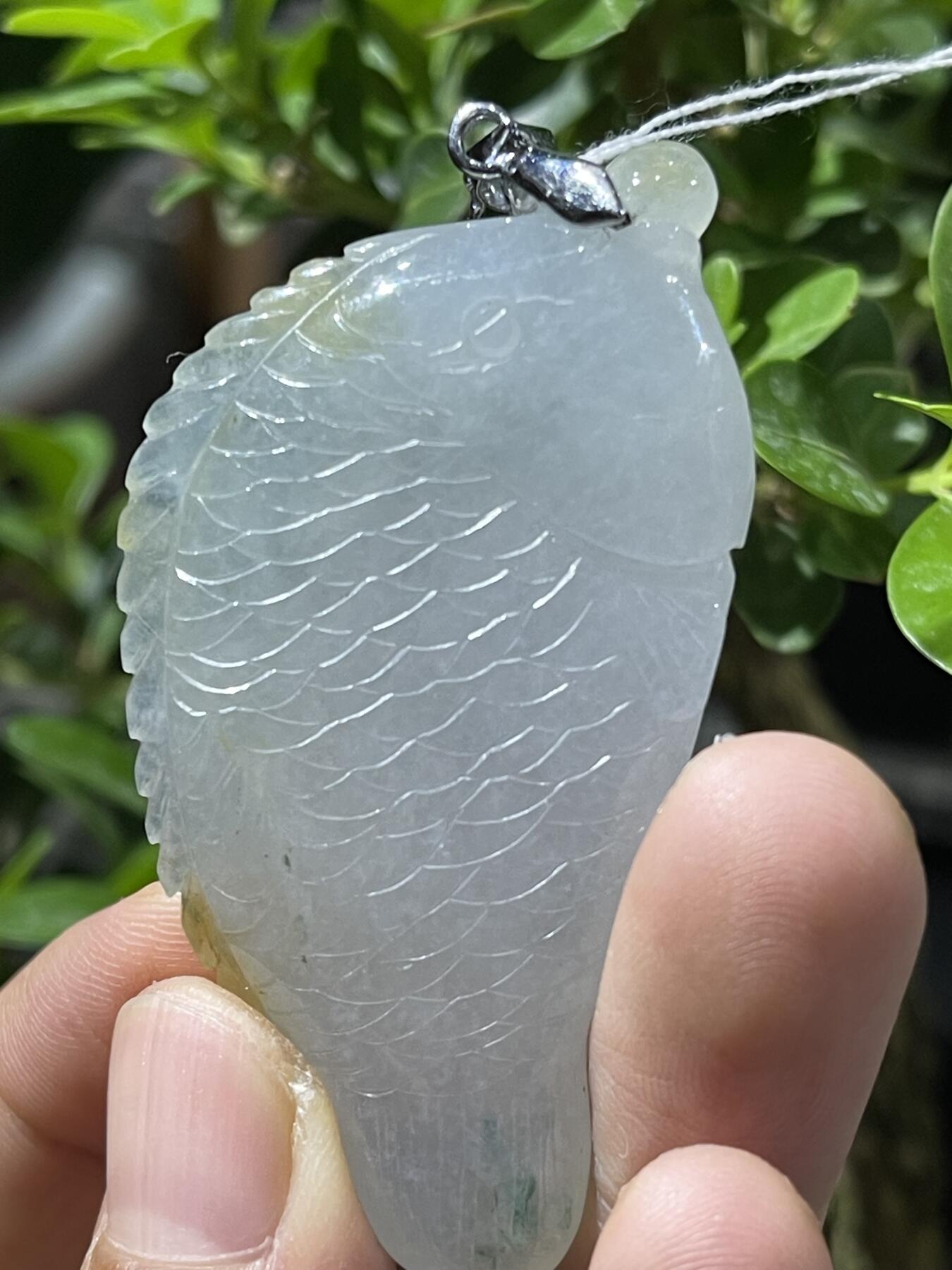 一线收获天然翡翠鱼