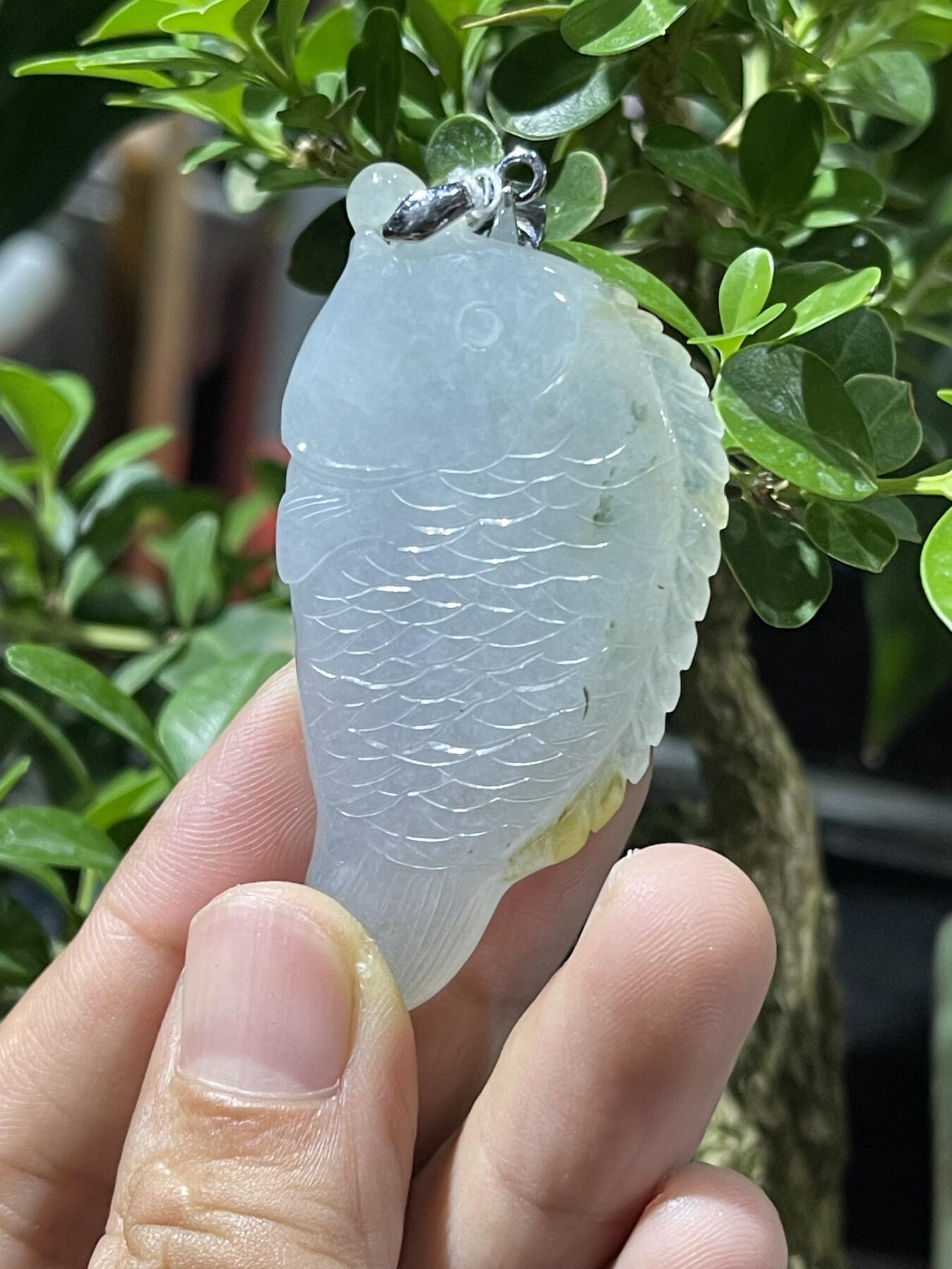 一线收获天然翡翠鱼