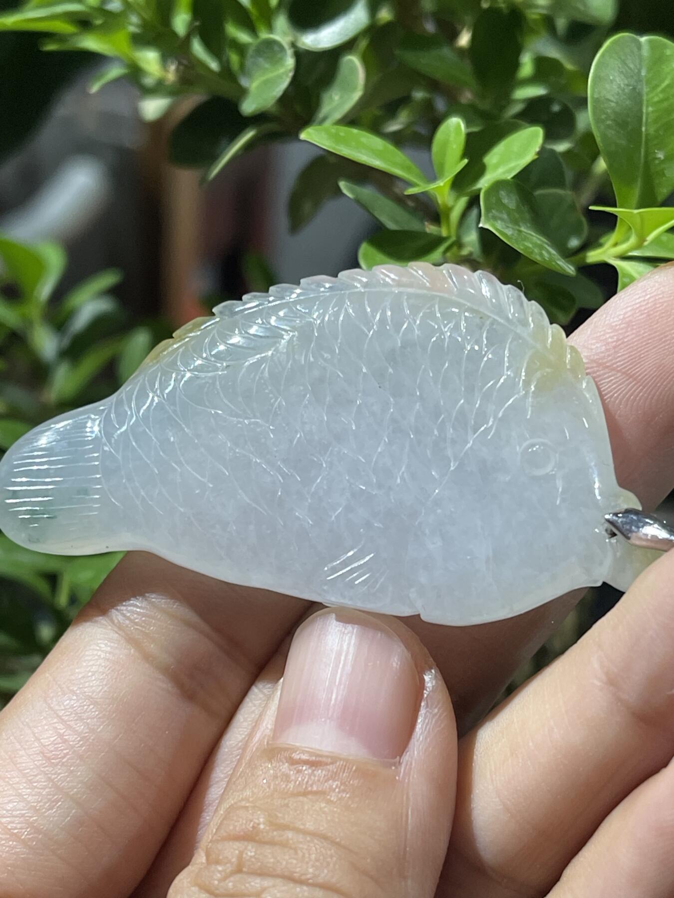 一线收获天然翡翠鱼