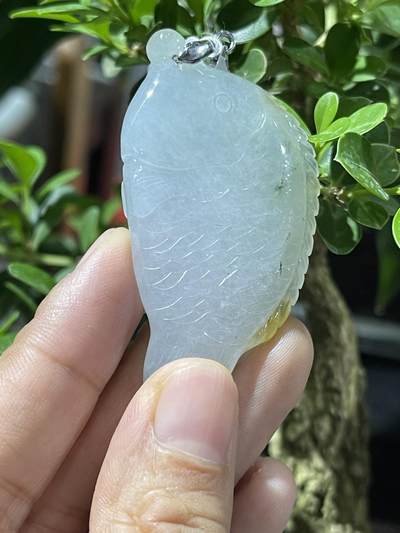 一线收获天然翡翠鱼