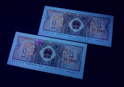 至尊红牡丹补号