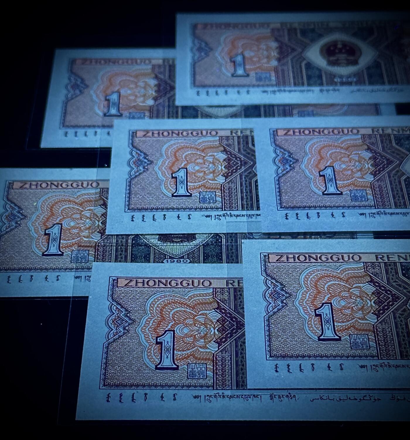 至尊红牡丹补号