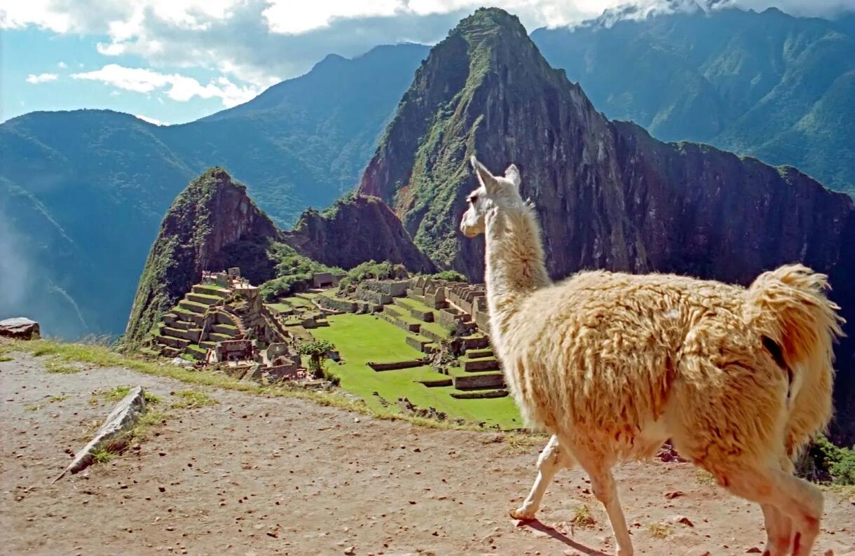 1980年秘鲁100索尔硬币：一枚钱币背后的南美经济阵痛