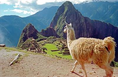 1980年秘鲁100索尔硬币：一枚钱币背后的南美经济阵痛