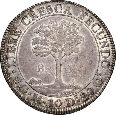 中美洲联邦共和国1826年8里亚尔银币