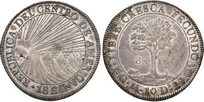 中美洲联邦共和国1826年8里亚尔银币
