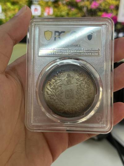 这是什么 袁大头