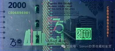 Simon哥大作--2025年全球纪念钞盘点10