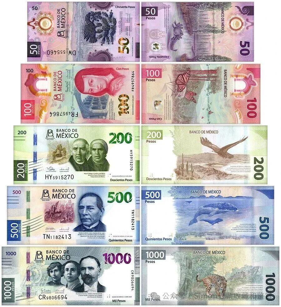 Simon哥大作--2025年全球纪念钞盘点08