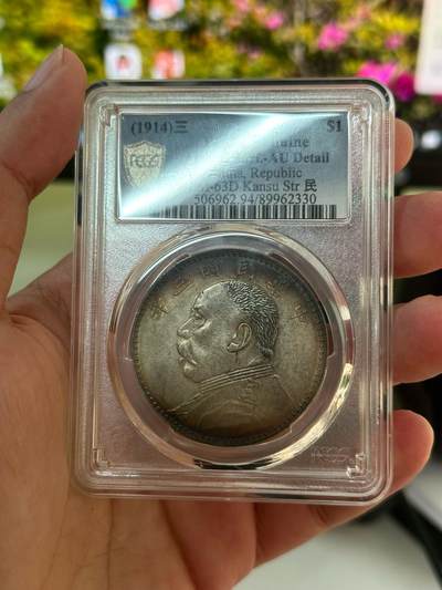 这是什么 袁大头