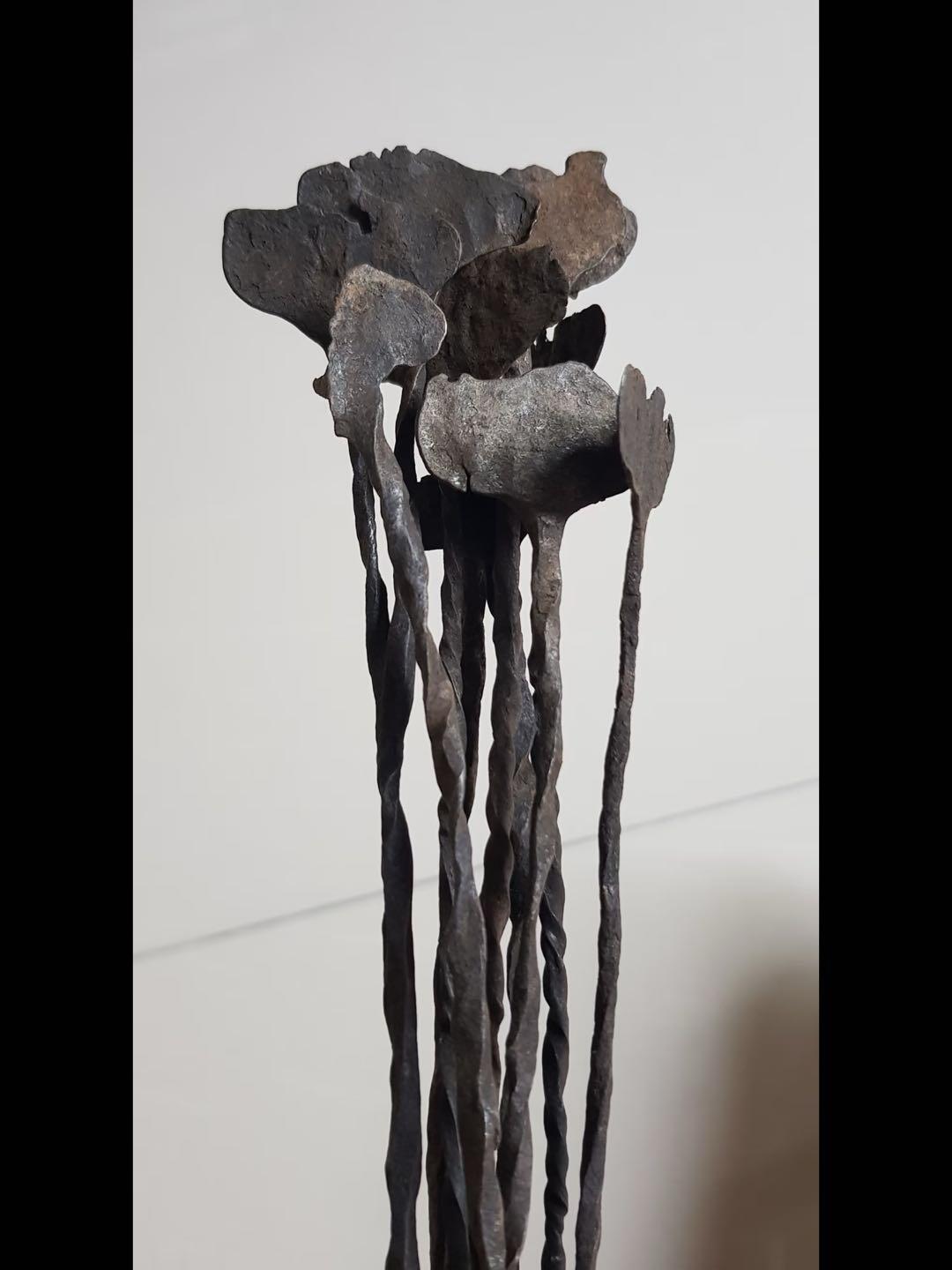 世界奇币—Kissi Penny