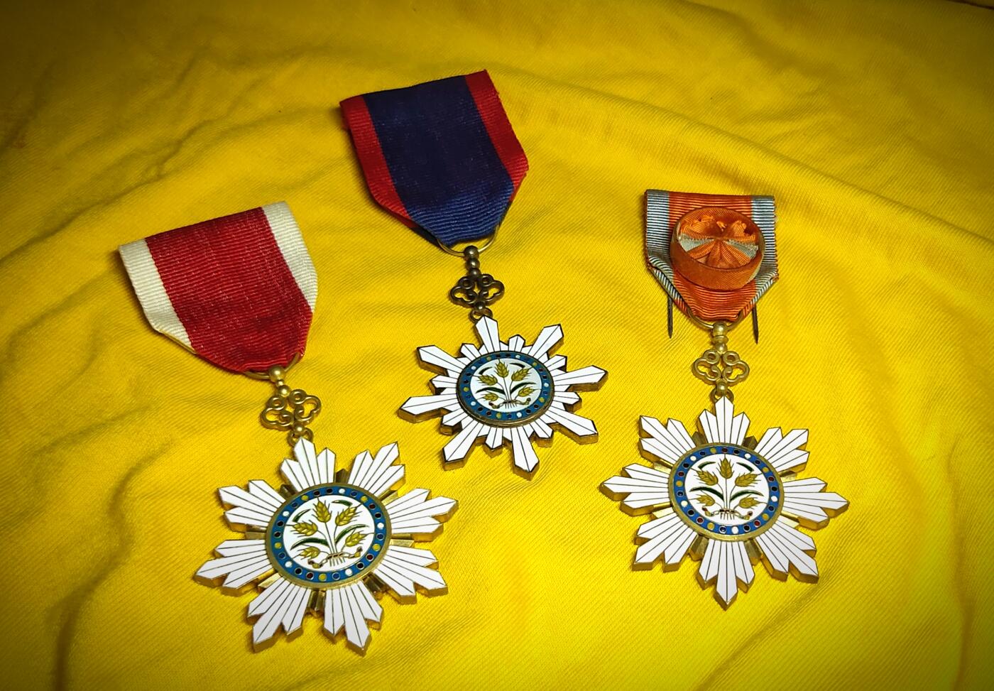 北洋嘉禾勋章 襟授影视道具 