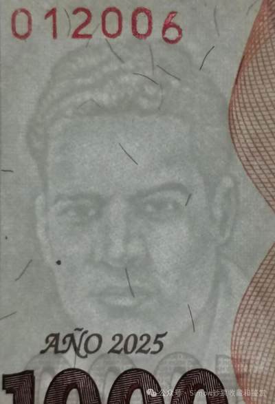 Simon哥大作--2025年全球纪念钞盘点13