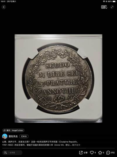 西萨尔平共和国纪念银币