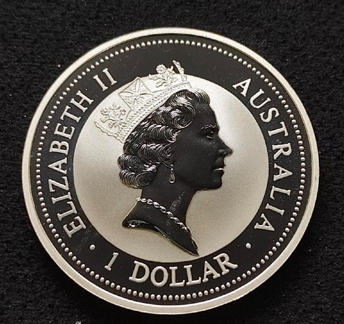 【已换藏】很喜欢的翠鸟换藏了！2026/2/8