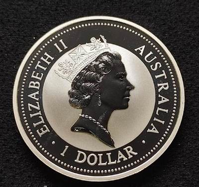 【已换藏】很喜欢的翠鸟换藏了！2026/2/8