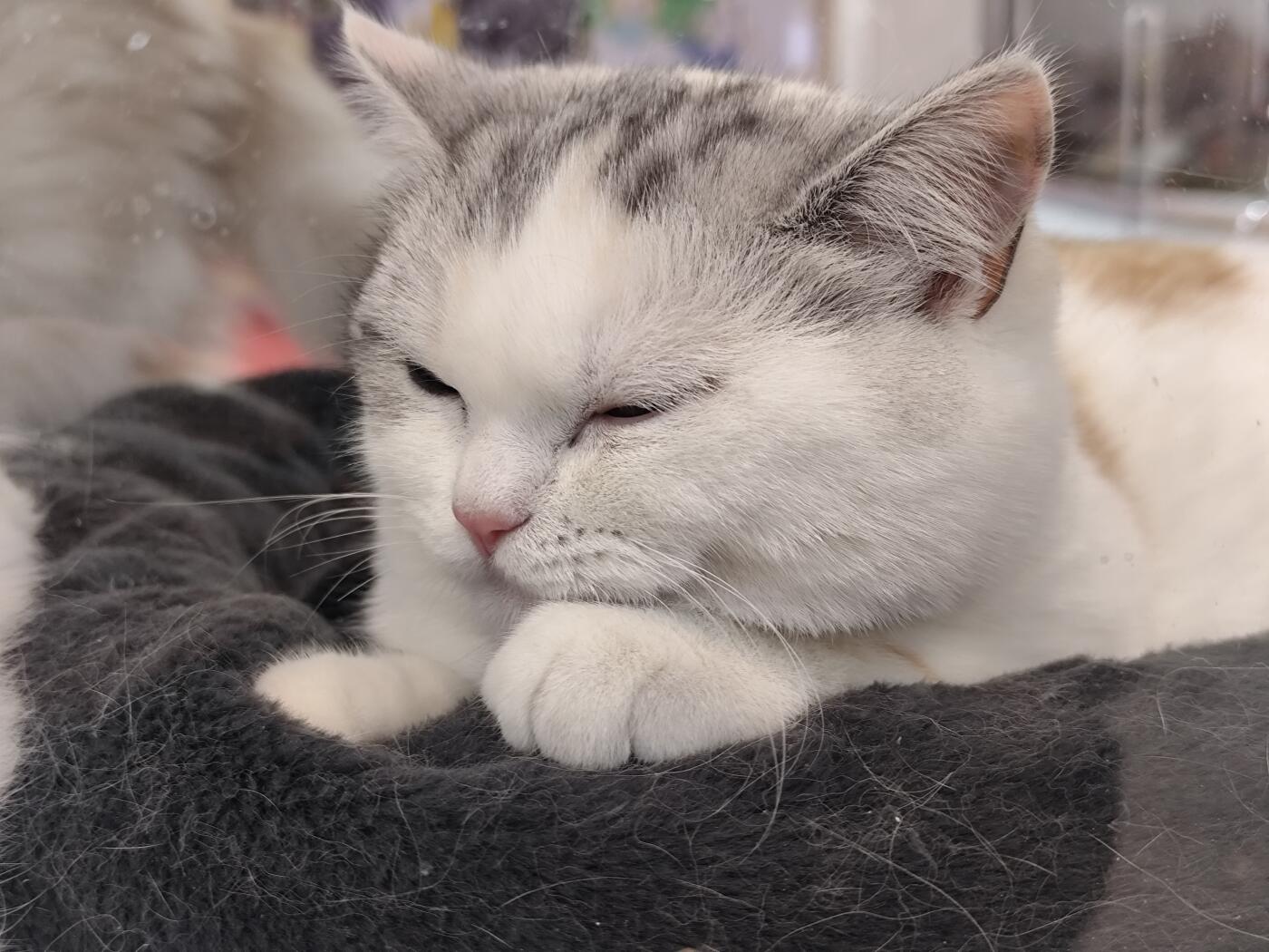 1969年美国费城造币厂新厂落成纪念铜章