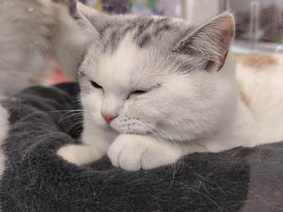 1969年美国费城造币厂新厂落成纪念铜章