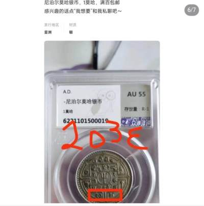 尼泊尔镍币银币辨析