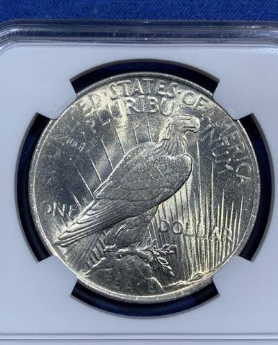 【美】NGC MS63 美国1922年和平鸽1元银币 2026/2/11